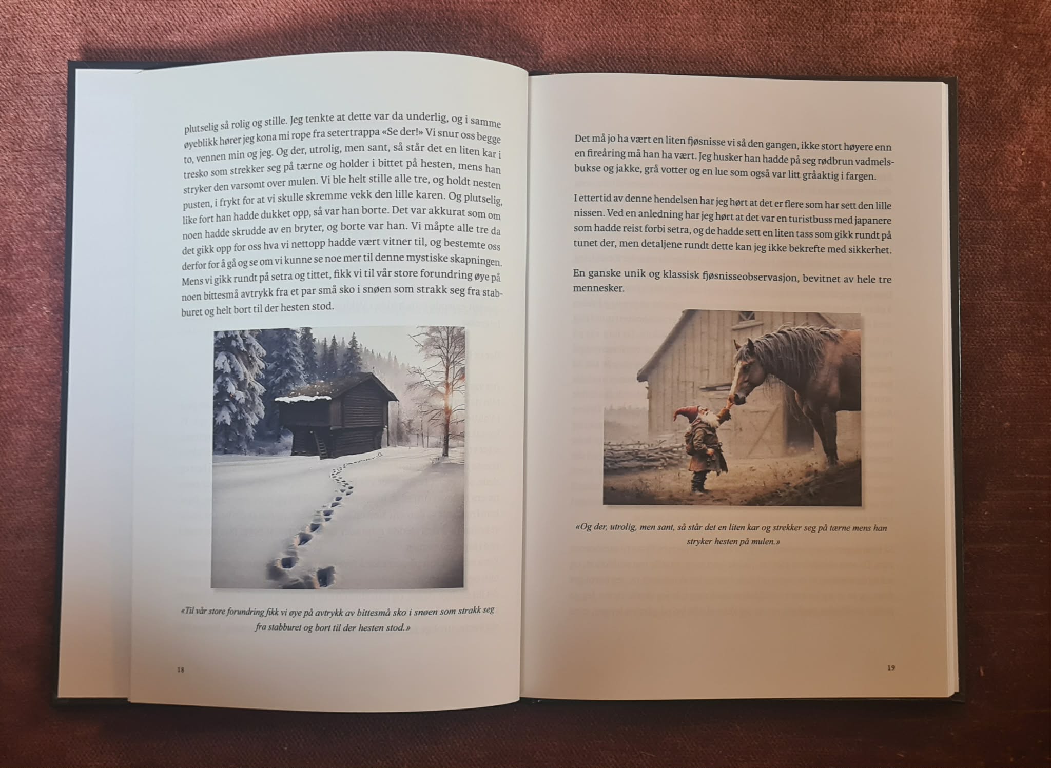 Møter med huldrer og småfolk i Norge- Innbundet