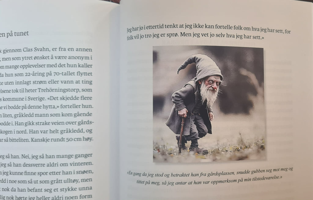 Møter med huldrer og småfolk i Norge - Innbundet - Gratis frakt